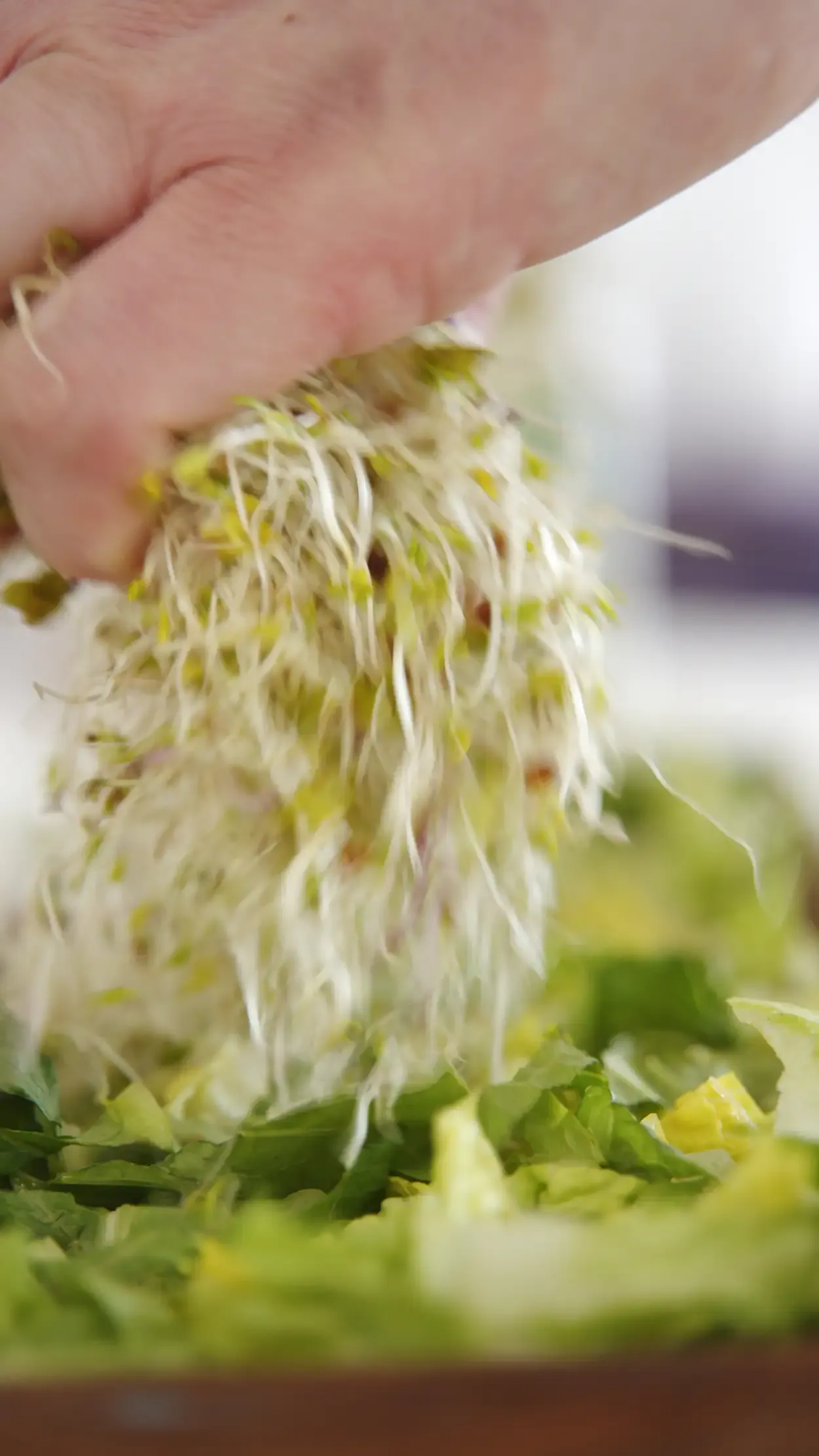 forenklet caesar salat — steg 2