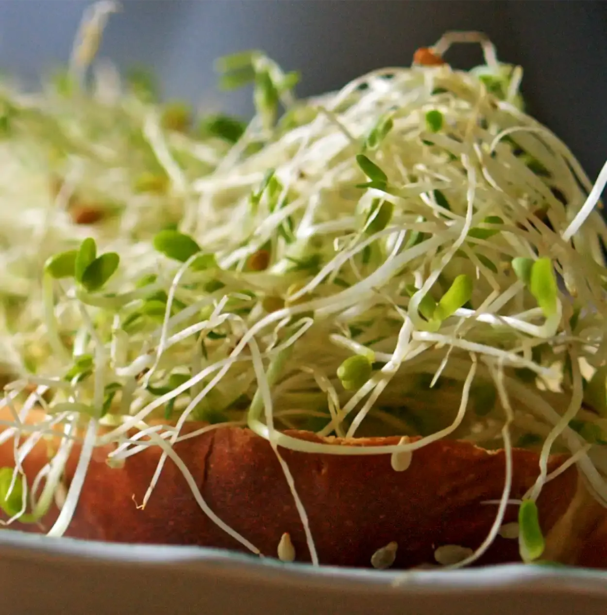 Skagen Sandwich — steg 3