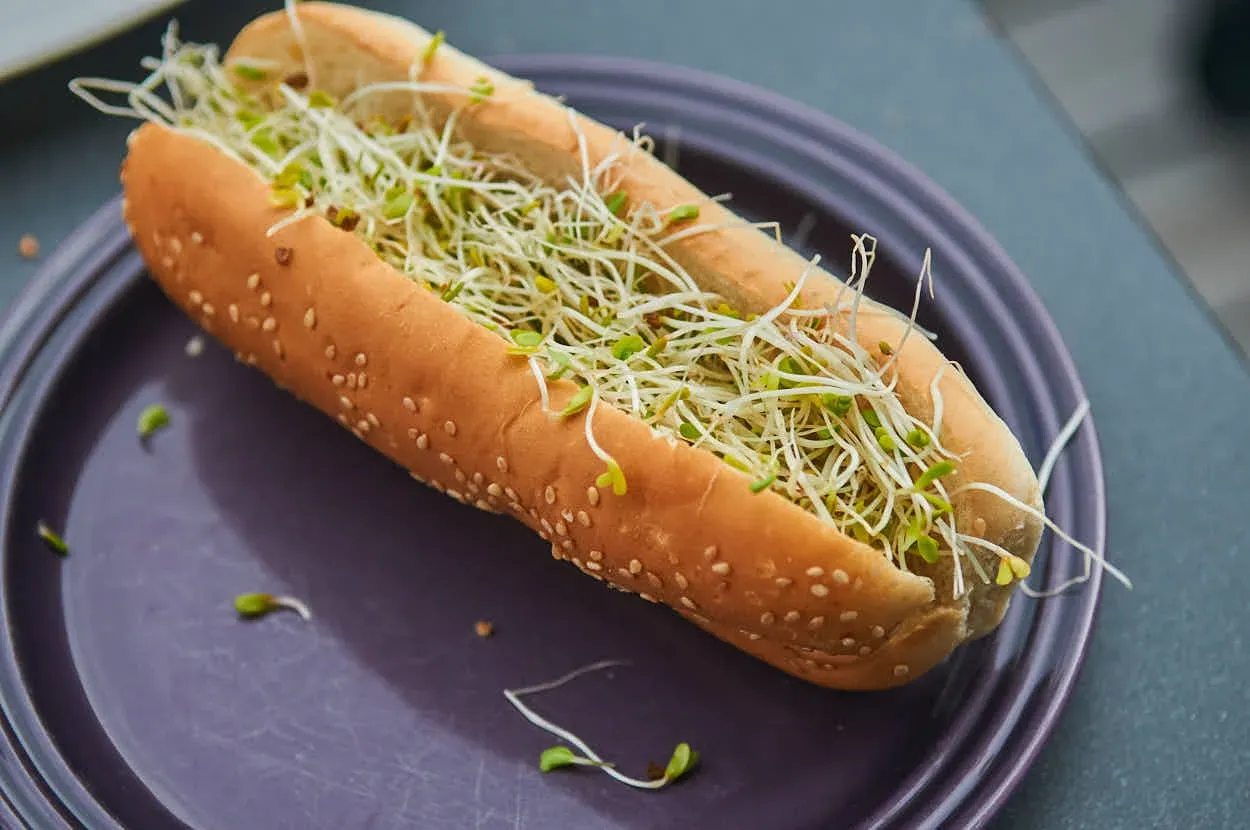 Alfalfa Dog — steg 2