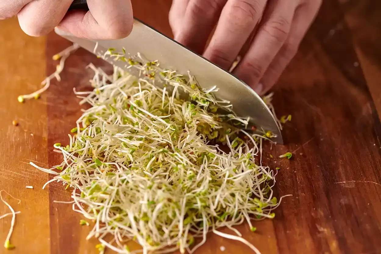 Grillsalat med spirer — steg 1